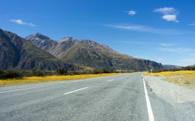Yeni Zelanda manzara