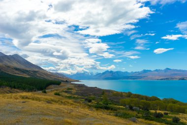Yeni Zelanda manzara