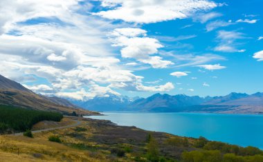 Yeni Zelanda manzara
