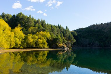 Picturesque landscape