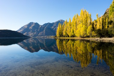 Picturesque landscape