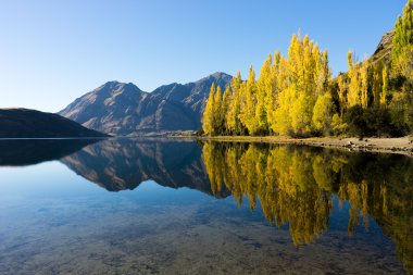 Picturesque landscape