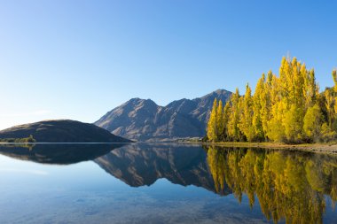 Picturesque landscape
