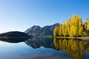 Picturesque landscape