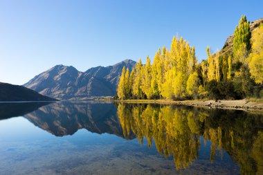Picturesque landscape