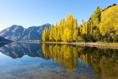 Picturesque landscape