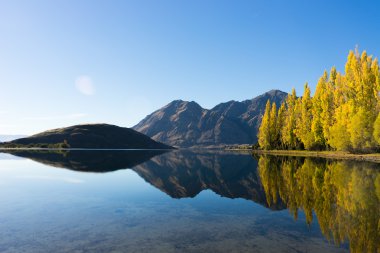 Picturesque landscape