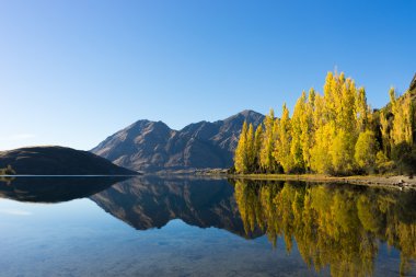 Picturesque landscape