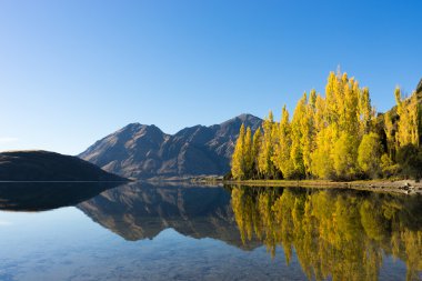 Picturesque landscape