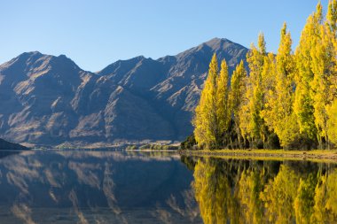 Picturesque landscape