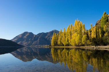 Picturesque landscape