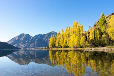 Picturesque landscape