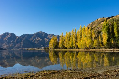 Picturesque landscape