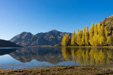 Picturesque landscape