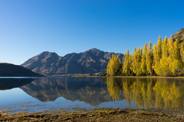 Picturesque landscape
