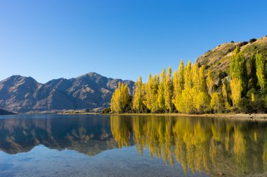 Picturesque landscape