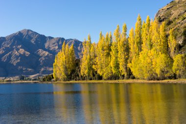 Picturesque landscape