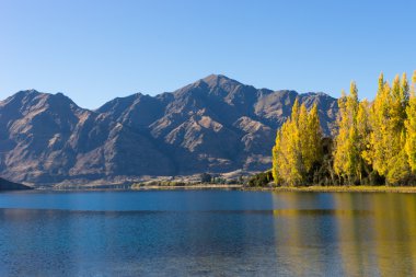 Picturesque landscape
