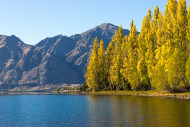 Picturesque landscape
