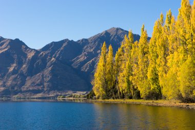 Picturesque landscape