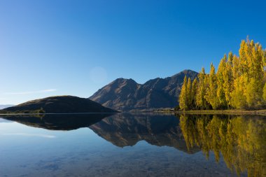 Picturesque landscape