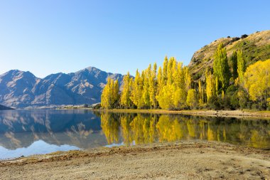 Picturesque landscape