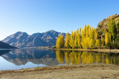 Picturesque landscape