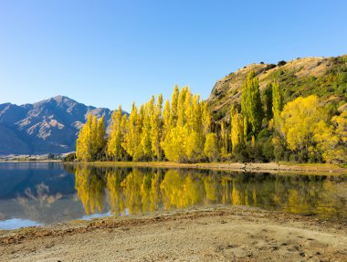 Picturesque landscape