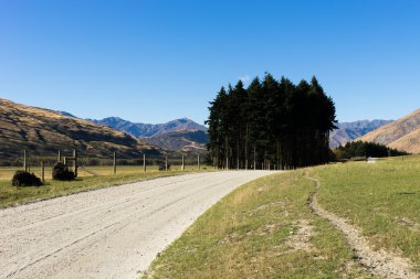 Yeni Zelanda Alpler ve yol