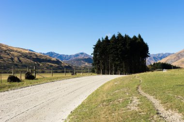 Yeni Zelanda Alpler ve yol