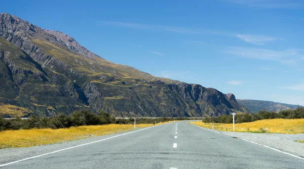 Nya Zeeland landskap — Stockfoto