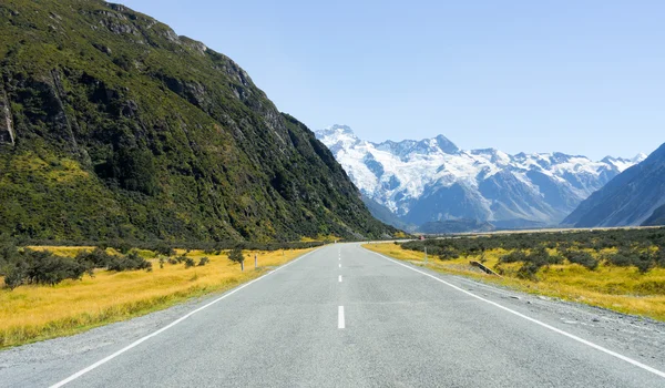 Nya Zeeland landskap — Stockfoto