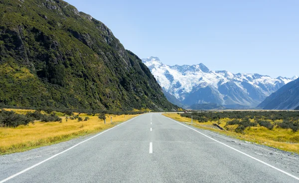 Nieuw-Zeeland landschap — Stockfoto