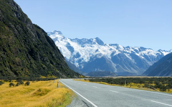 Nya Zeeland landskap — Stockfoto