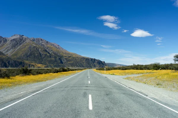 Nya Zeeland landskap — Stockfoto