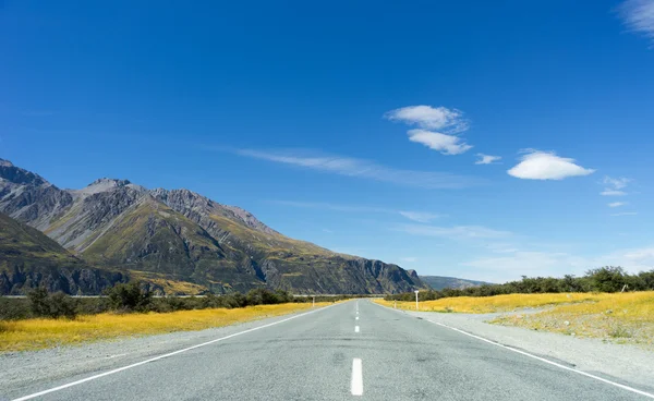 Nya Zeeland landskap — Stockfoto