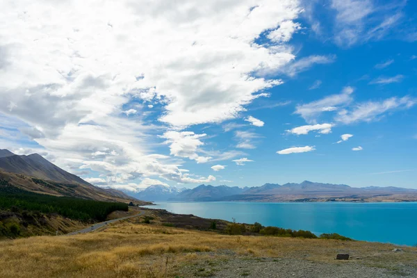 New Zealand landscape — Stock Photo, Image