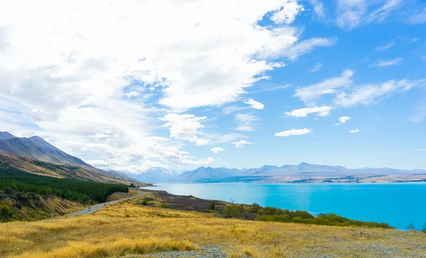 Nowa Zelandia krajobraz — Zdjęcie stockowe
