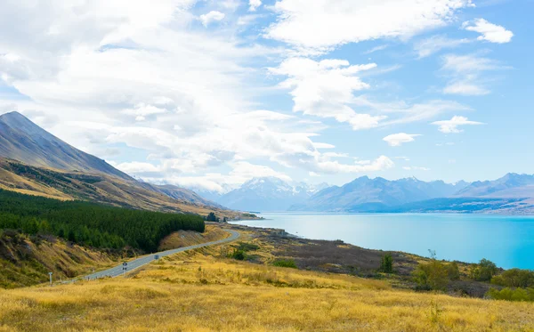 New Zealand landscape — Stock Photo, Image