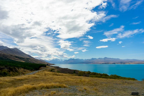 New Zealand landscape — Stock Photo, Image