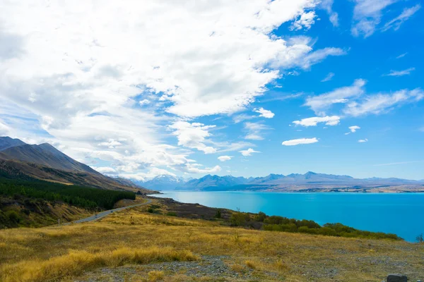 Yeni Zelanda manzara — Stok fotoğraf