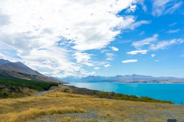 Yeni Zelanda manzara — Stok fotoğraf