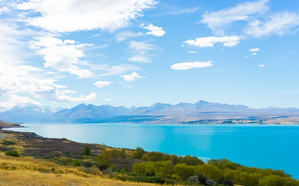 New Zealand landscape — Stock Photo, Image