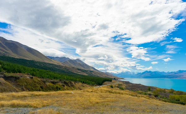 New Zealand landscape — Stock Photo, Image