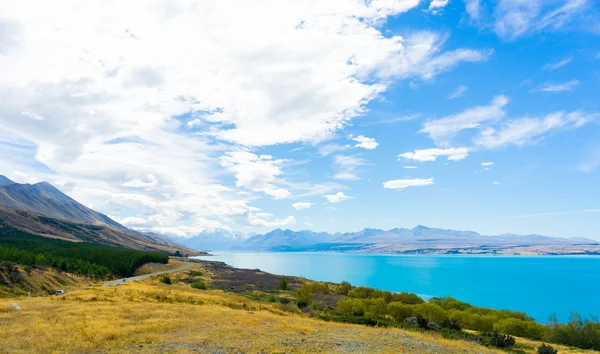 Nieuw-Zeeland landschap — Stockfoto