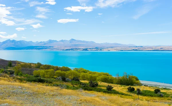 New Zealand landscape — Stock Photo, Image