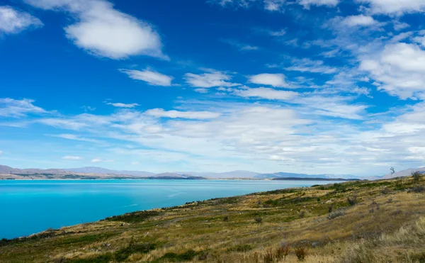 New Zealand landscape — Stock Photo, Image