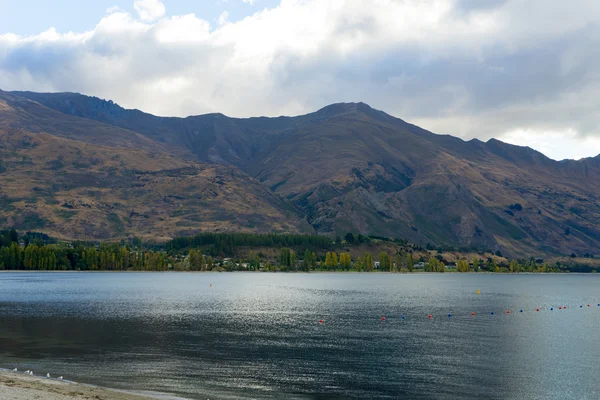 New Zealand landscape — Stock Photo, Image