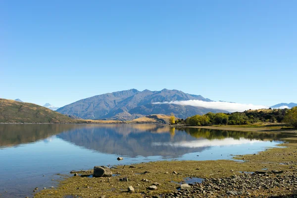 New Zealand landscape — Stock Photo, Image