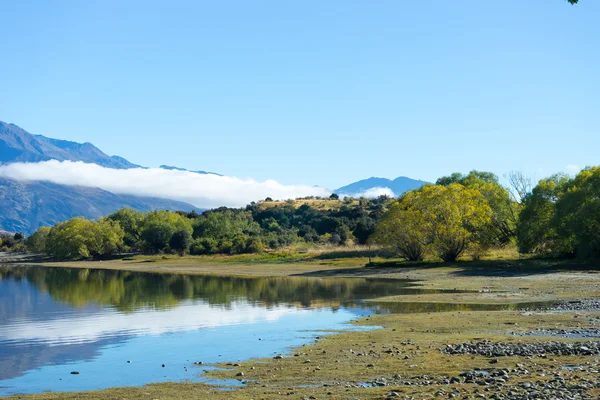 New Zealand landscape — Stock Photo, Image